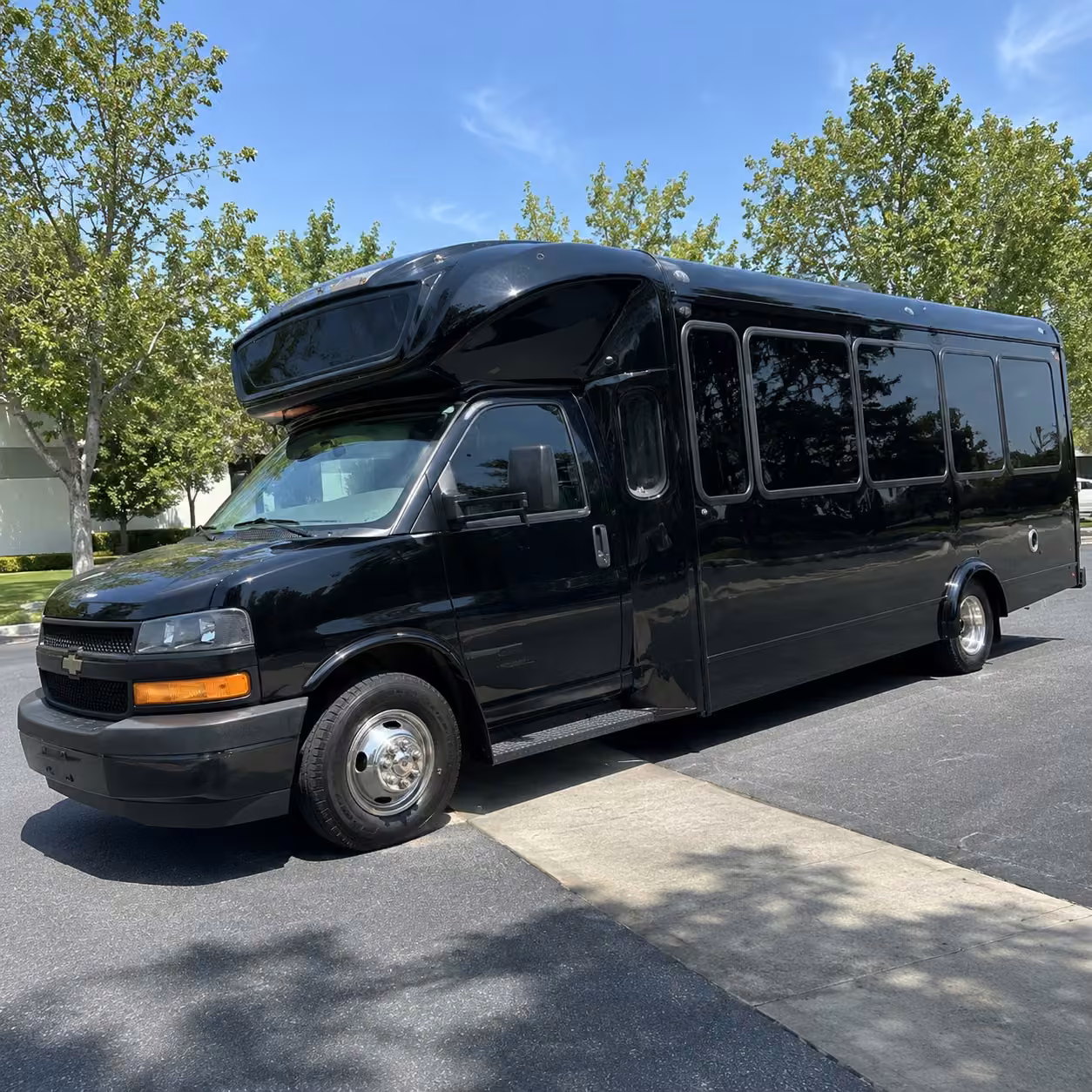 20 passenger party bus